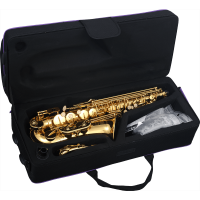 SML Paris Saxophone alto débutant verni A420-II - Vue 2