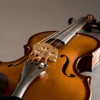 Fishman V-400 pour alto - Vue 2