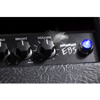 EBS Magni 502 combo 1x15