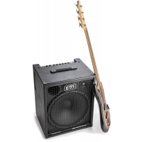 EBS Magni 502 combo 1x15