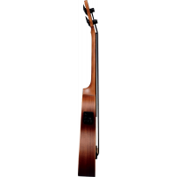 Lâg Tiki Bass Fretless Pan-Coupé Électro - Vue 3